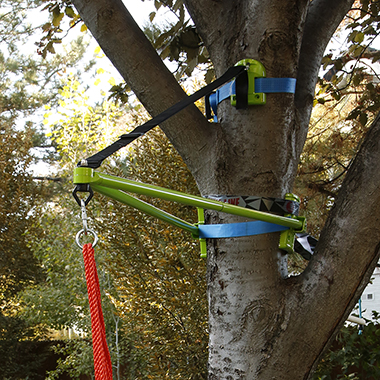 The Instant Tree Branch